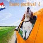 Svjetski dan kućnih ljubimaca